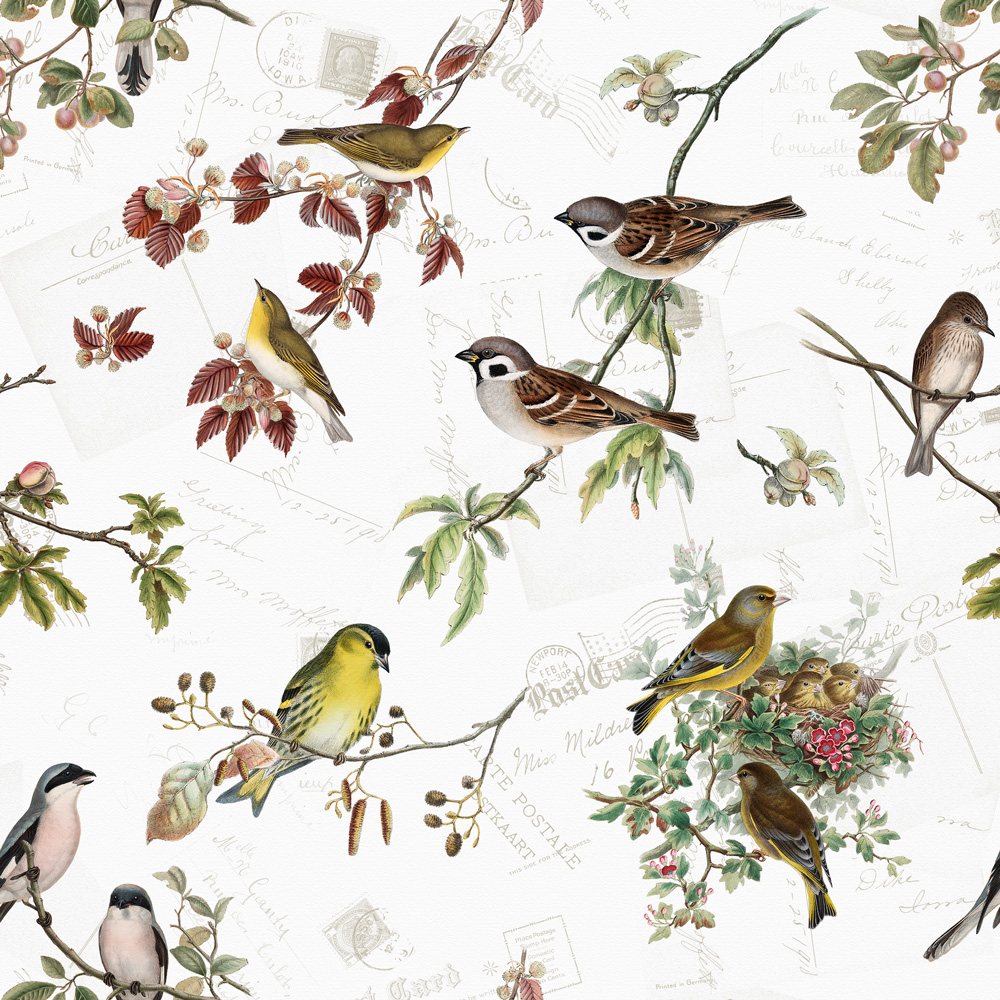 20 Servietten Bird Family - Heimische Vogelarten 33x33cm