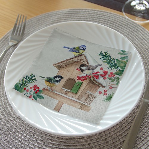 20 Servietten Birds Meeting Point - Vögel am winterlichen Vogelhaus 33x33cm