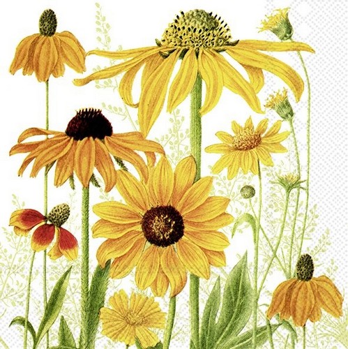 20 Servietten Danielle - Gelbe Sommerblumenwiese 33x33cm