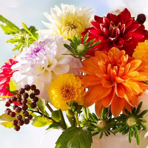 20 Servietten Dahlia Dreams - Traumhafte Dahlien 33x33cm