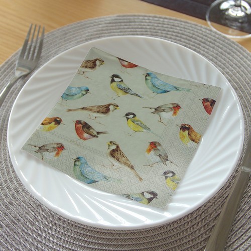 20 Servietten The Birds - Vogelarten auf taupe 33x33cm