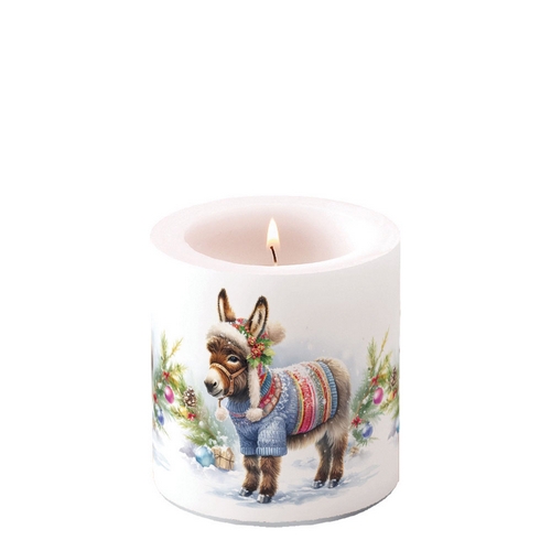 Kerze rund klein Wooly Donkey - Niedlicher Esel mit Wollbekleidung Ø 7,5cm, Höhe 9cm