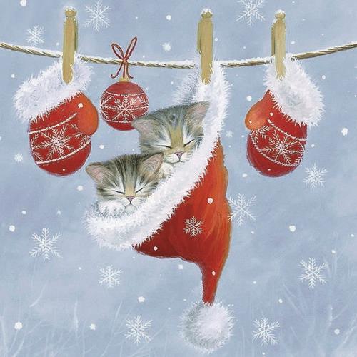 20 Servietten Just Sleepy – Verschlafene Katzen in Wintermütze 33x33cm