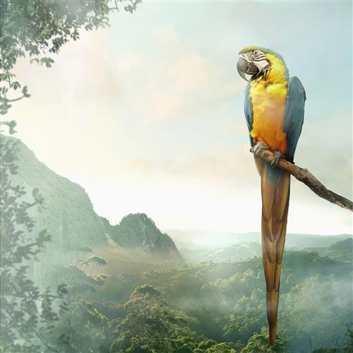 20 Servietten Parrot – Papagei mit Aussicht 33x33cm