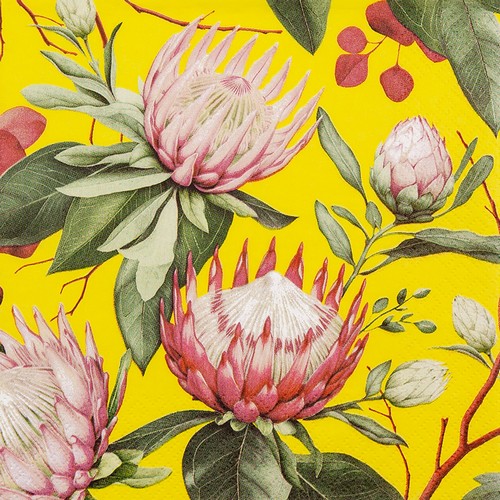 20 Servietten Madiba Protea yellow - Protea-Blüten gelb 33x33cm