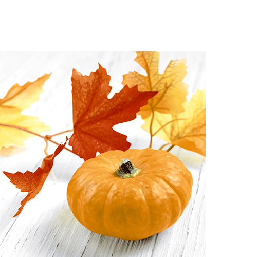 20 kleine Cocktailservietten Pumpkin Leaf - Einzelne Blätter an Kürbis 25x25cm