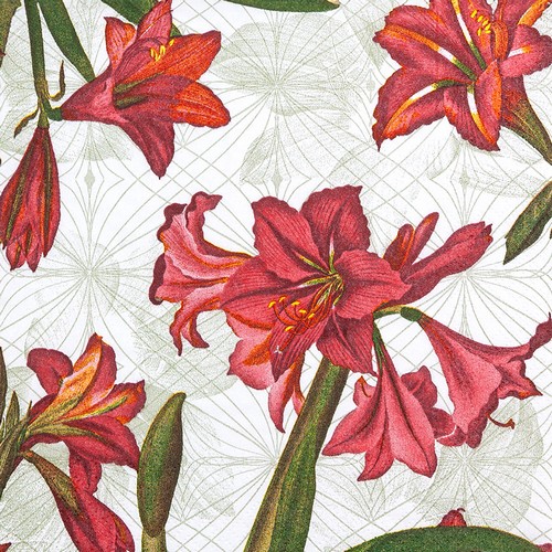 20 Servietten Natural Amaryllis pure - Moderne Amaryllis weiß 33x33cm