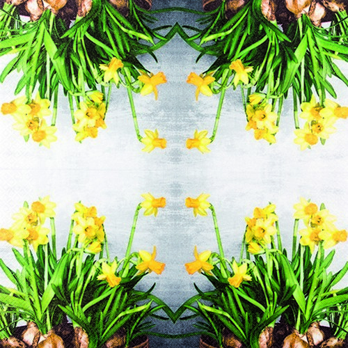 20 Servietten Narcissus - Frische Narzissen 33x33cm