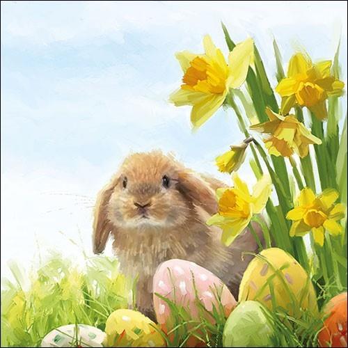 20 Servietten Fluffy - Fluffiger Hase an Narzissen 33x33cm