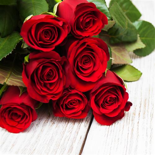 20 Servietten Red Rose 33x33cm