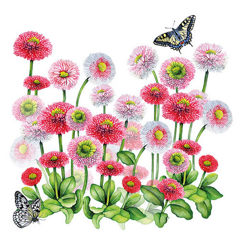 20 Servietten Bellis - Schmetterlinge an Gartenblumen 33x33cm