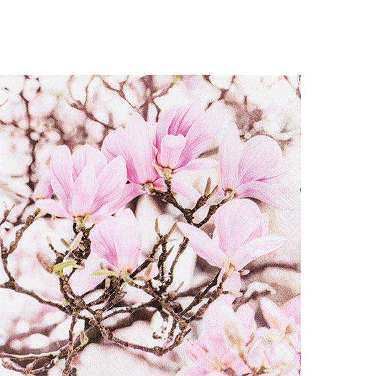 20 kleine Cocktailservietten Pink Magnolia - Blühende rosa Magnolien 25x25cm