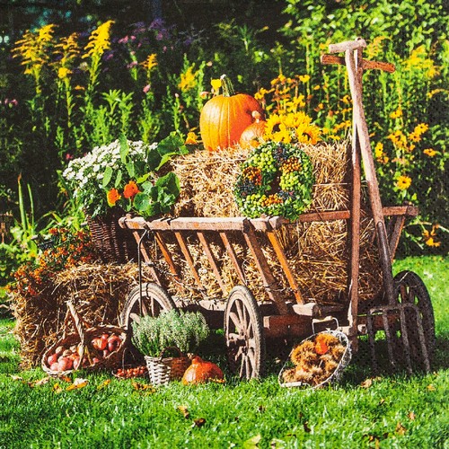 20 Servietten Handcart - Handwagen mit Heuballen 33x33cm