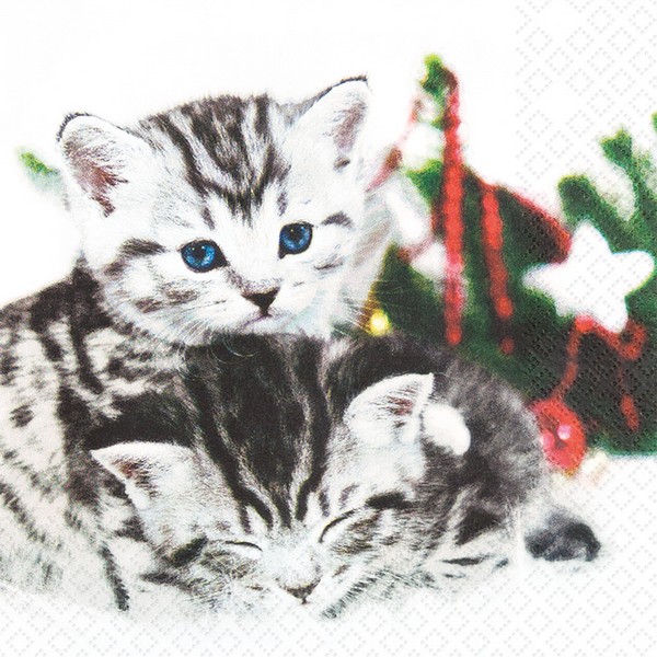 20 kleine Cocktailservietten Christmas Cats - Süßes Katzenpaar 25x25cm
