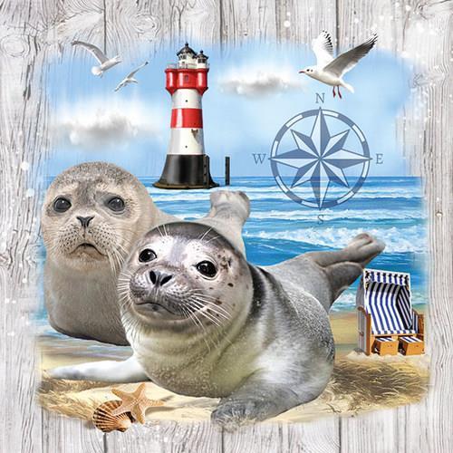 20 Servietten Seal Couple - Robben am Wasser 33x33cm