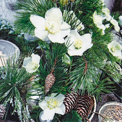 20 Servietten Winter Rose - Winterrose und Zweige 33x33cm