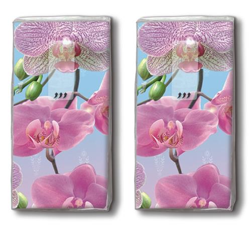 2x 10 Taschentücher Bright Orchid - Schillernde Orchidee