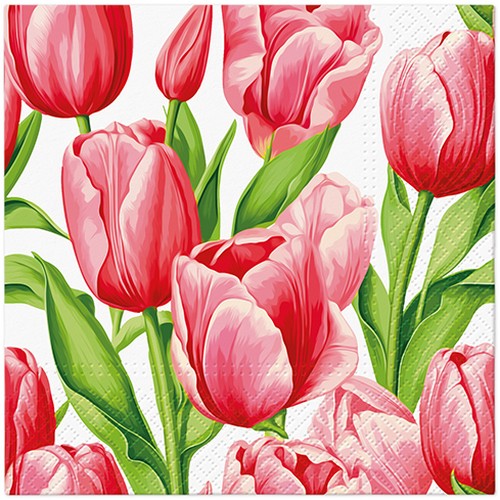 20 Servietten Tulip Time - Tulpenzeit rosa 33x33cm