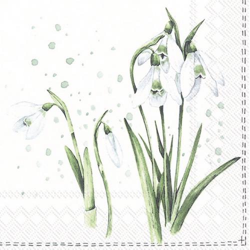 20 Servietten Spring Greetings - Schneeglöckchen beim Erblühen 33x33cm