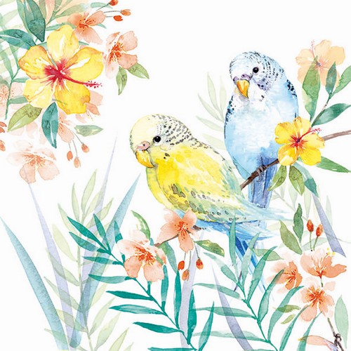 20 Servietten Budgies Couple - Neugierige Wellensittiche 33x33cm