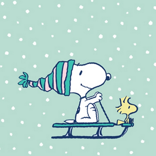 20 Servietten Snoopy Schlitten - Snoopy auf Schlitten mint 33x33cm