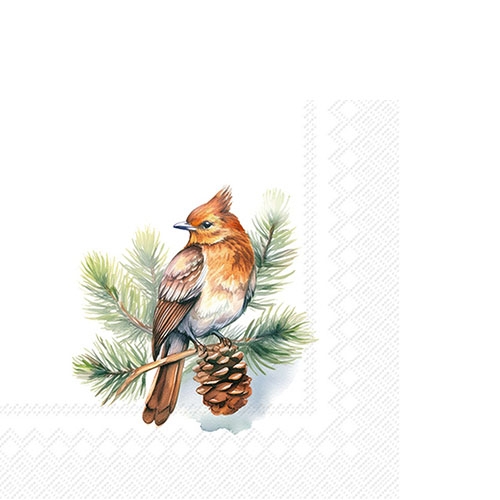 20 kleine Cocktailservietten Winter Wildlife - Vogel auf Ast mit Zapfen 25x25cm