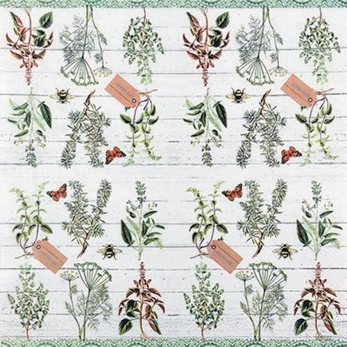 20 Servietten Floral Study - Pflanzenbestimmung 33x33cm