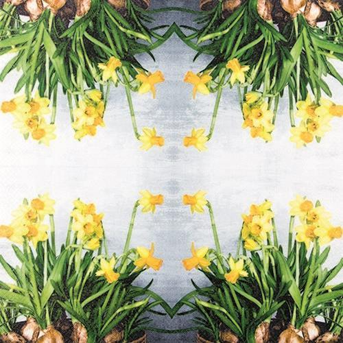 20 Servietten Narcissus - Frische Narzissen 33x33cm