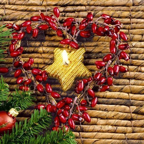20 Servietten Xmas Heart - Herz aus Hagebutten 33x33cm