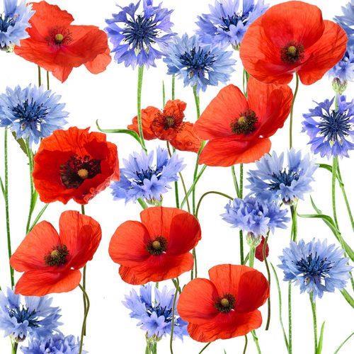 20 Servietten Summerfield – Blumenfeld im Sommer 33x33cm