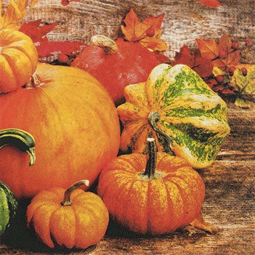 20 Servietten Pumpkins - Rustikale Kürbisse 33x33cm