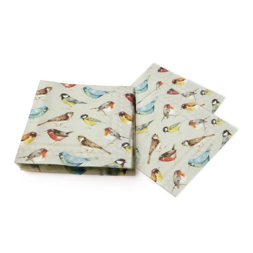 20 Servietten The Birds - Vogelarten auf taupe 33x33cm