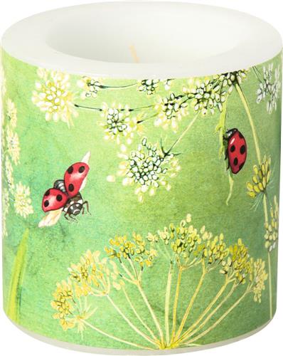 Kerze rund klein Ladybirds - Aufgeweckte Marienkäfer Ø7,5cm, Höhe 7,5cm