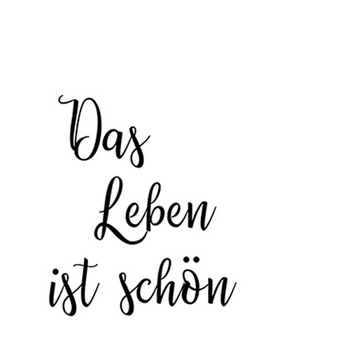 20 kleine Cocktailservietten Schönes Leben - Das Leben ist schön 25x25cm