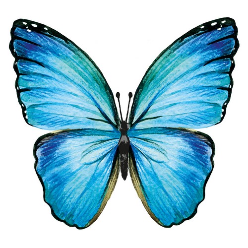 20 Servietten Butterfly - Blauer Schmetterling 33x33cm