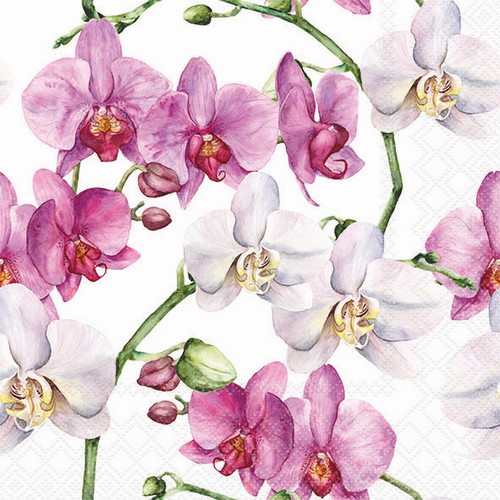 20 Servietten Elegant Orchids white - Elegante Orchideen 33x33cm
