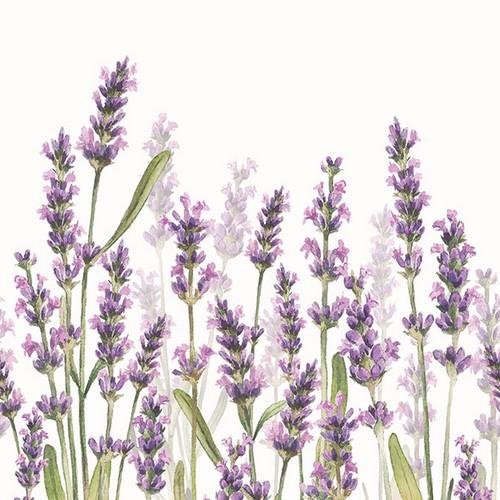 20 Servietten Lavender Shades white - Lavendelwiese blüht auf  33x33cm