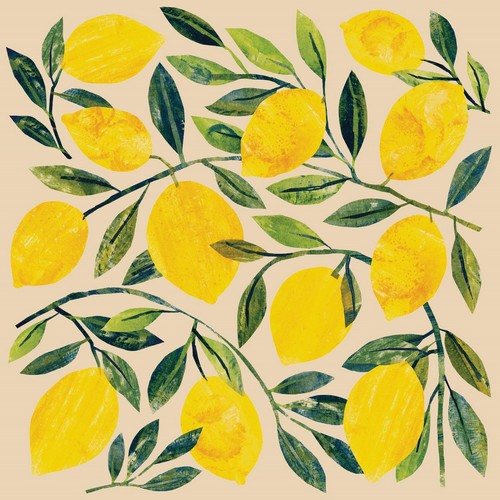 20 Servietten aus Recycling-Papier Traceys Citronella - Welt voller Zitronen 33x33cm