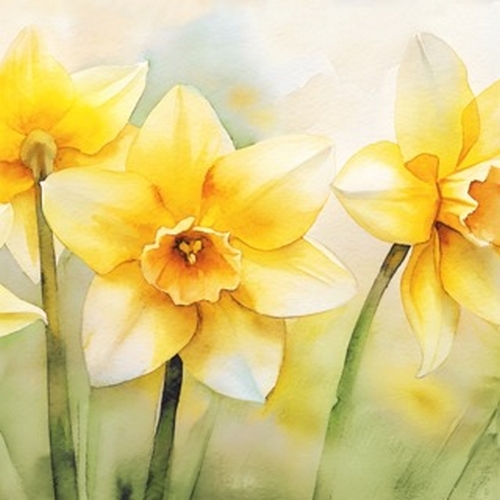 20 Servietten Daffodil - Narzissen in natürlicher Blüte 33x33cm