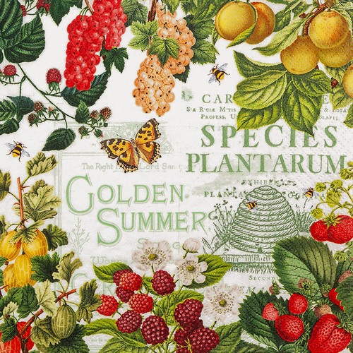 20 Servietten Summer Fruits - Früchte mit Sommerlaune 33x33cm