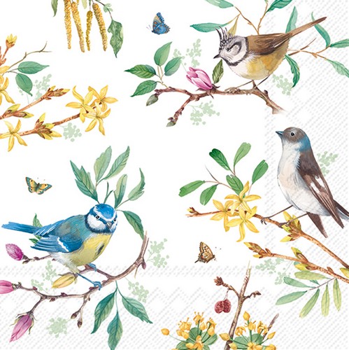 20 Servietten Spring Story - Vögel in Frühlingszweige 33x33cm