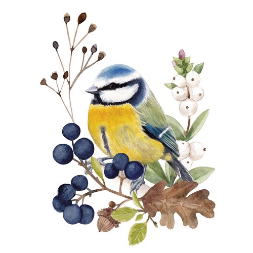 20 Servietten Oiseau en Nature - Blaumeise an Naturgesteck 33x33cm