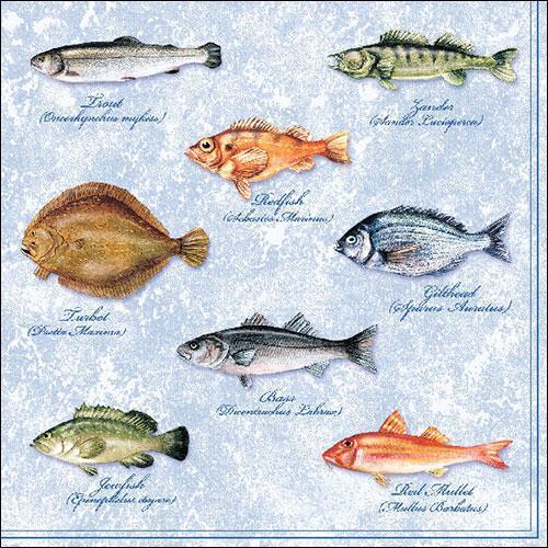 20 Servietten Fishes - Bestimmung der Fische 33x33cm