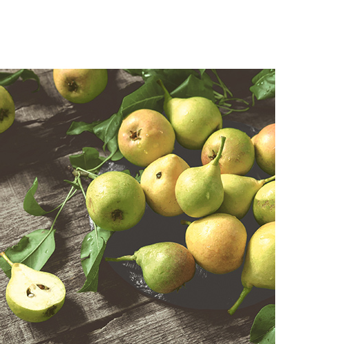 20 kleine Cocktailservietten Rustic Pears - Rustikale Birnen 25x25cm