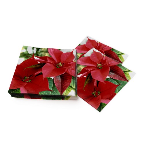 20 Servietten Blooming red - Weihnachtsstern in voller Blüte 33x33cm