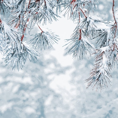 20 Servietten Frosty pine - Gefrorene Naturzweige 33x33cm