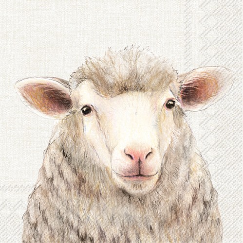 20 Servietten Farm Sheep - Einzelnes Schaf 33x33cm