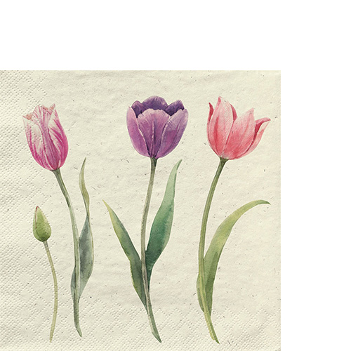 20 kleine Cocktailservietten aus Recycling-Papier Gras Spring Beauties - Herrlich schöne Tulpen 25x25cm