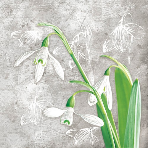 20 Servietten Delicate Snowdrops on Concrete - Natürliche Schneeglöckchen auf grau 33x33cm