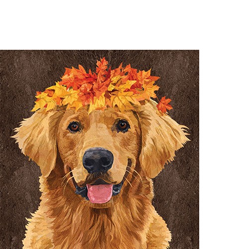 20 kleine Cocktailservietten Enzo - Herbstblätter auf Hund 25x25cm